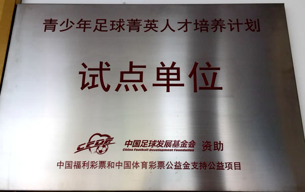 鲸鱼体育稳定线路图片