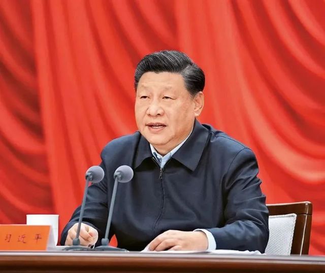 鲸鱼体育欧洲杯图片