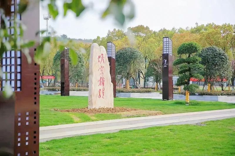 鲸鱼体育手机版图片