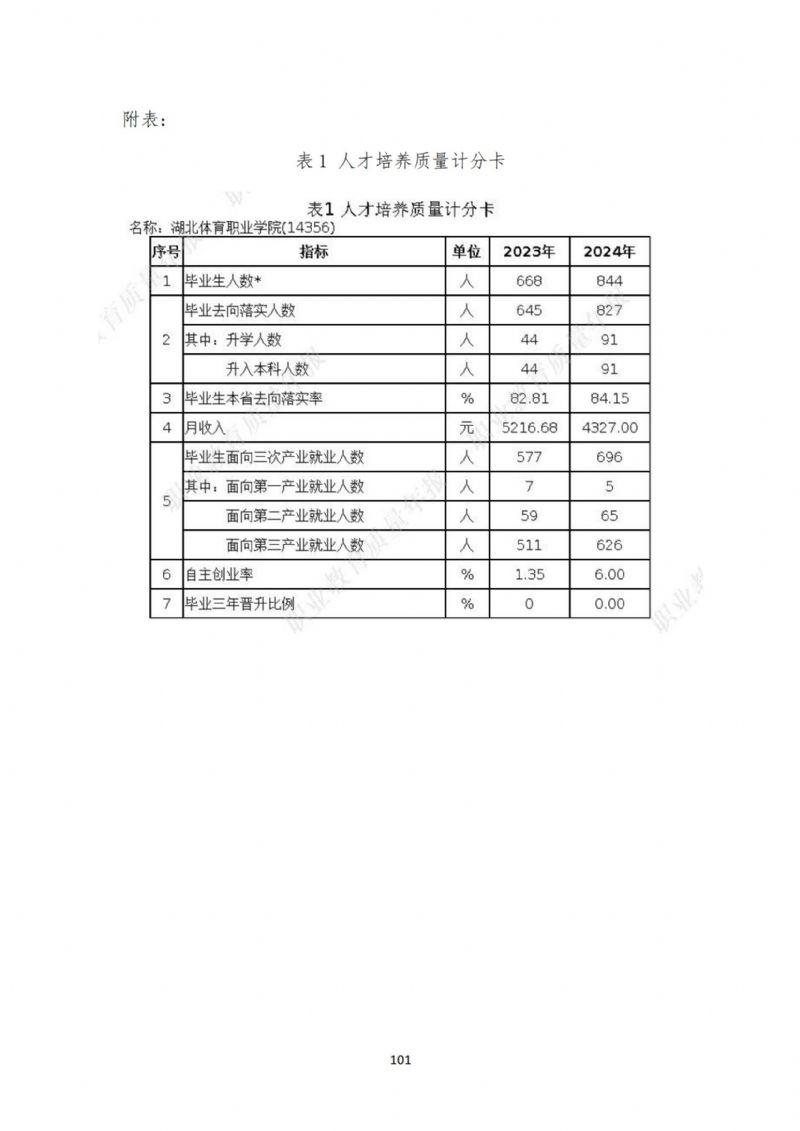 鲸鱼体育欧洲杯图片