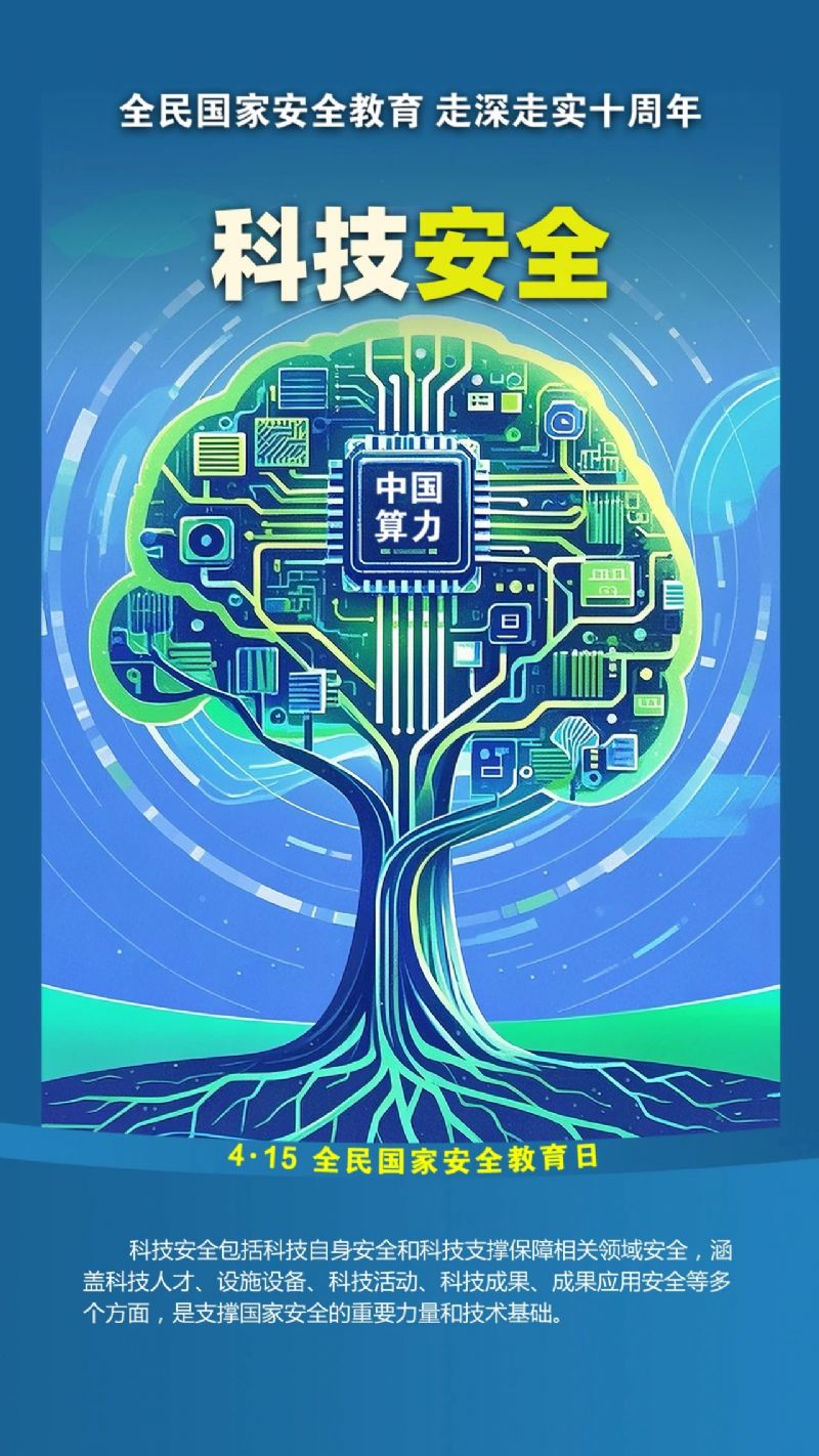 鲸鱼体育稳定线路图片