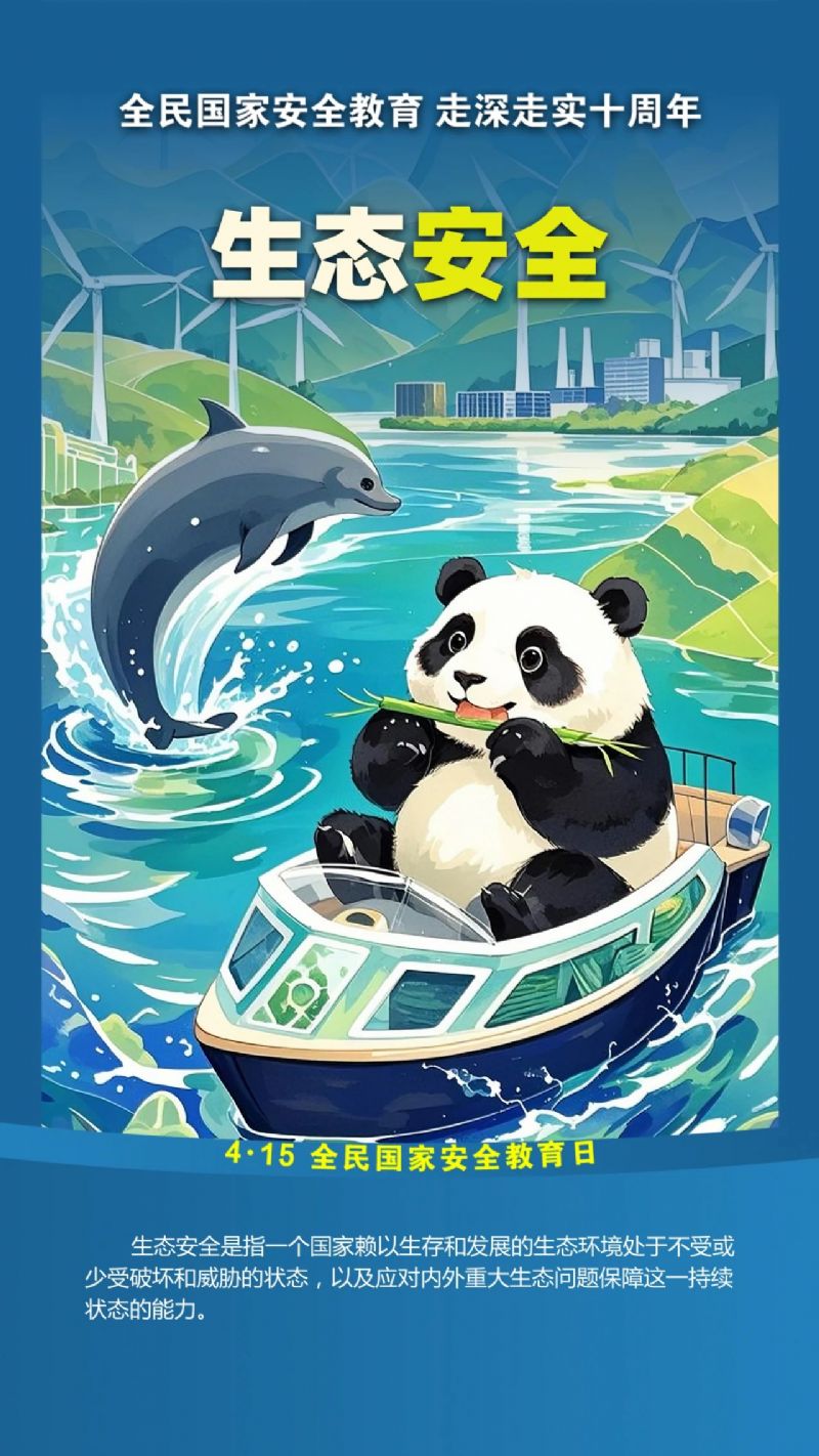 鲸鱼体育指定入口图片
