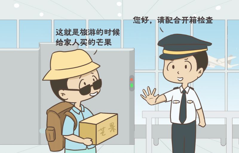 鲸鱼体育直播图片