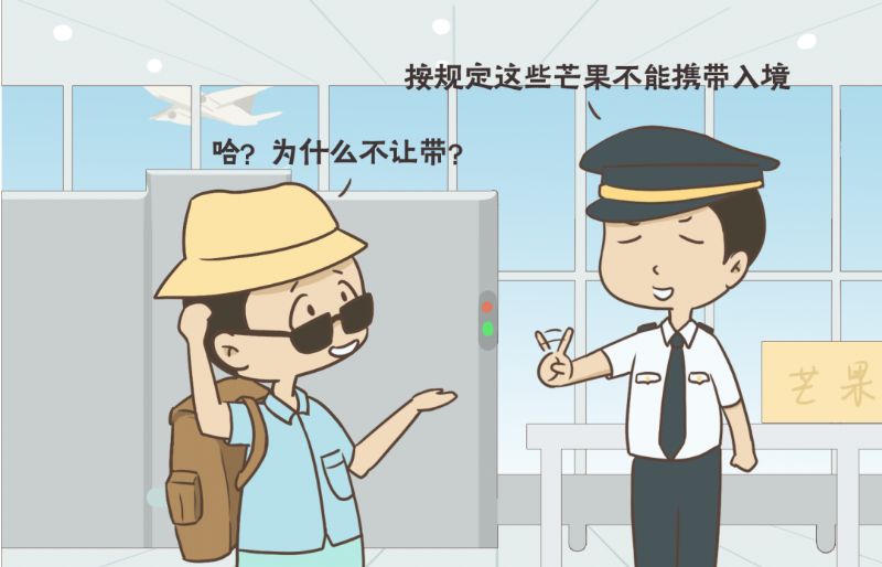 鲸鱼体育体育频道图片