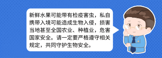 鲸鱼体育体育频道图片