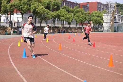鲸鱼体育指定入口图片