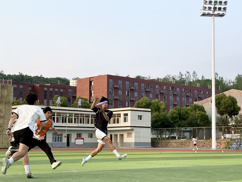 鲸鱼体育指定通道图片