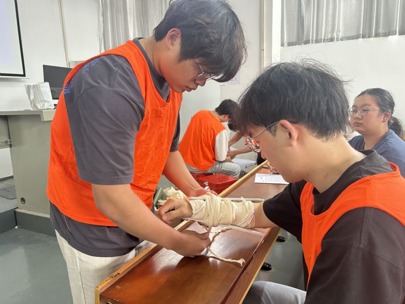 鲸鱼体育欧洲杯图片