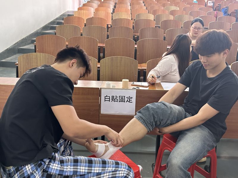 鲸鱼体育稳定线路图片
