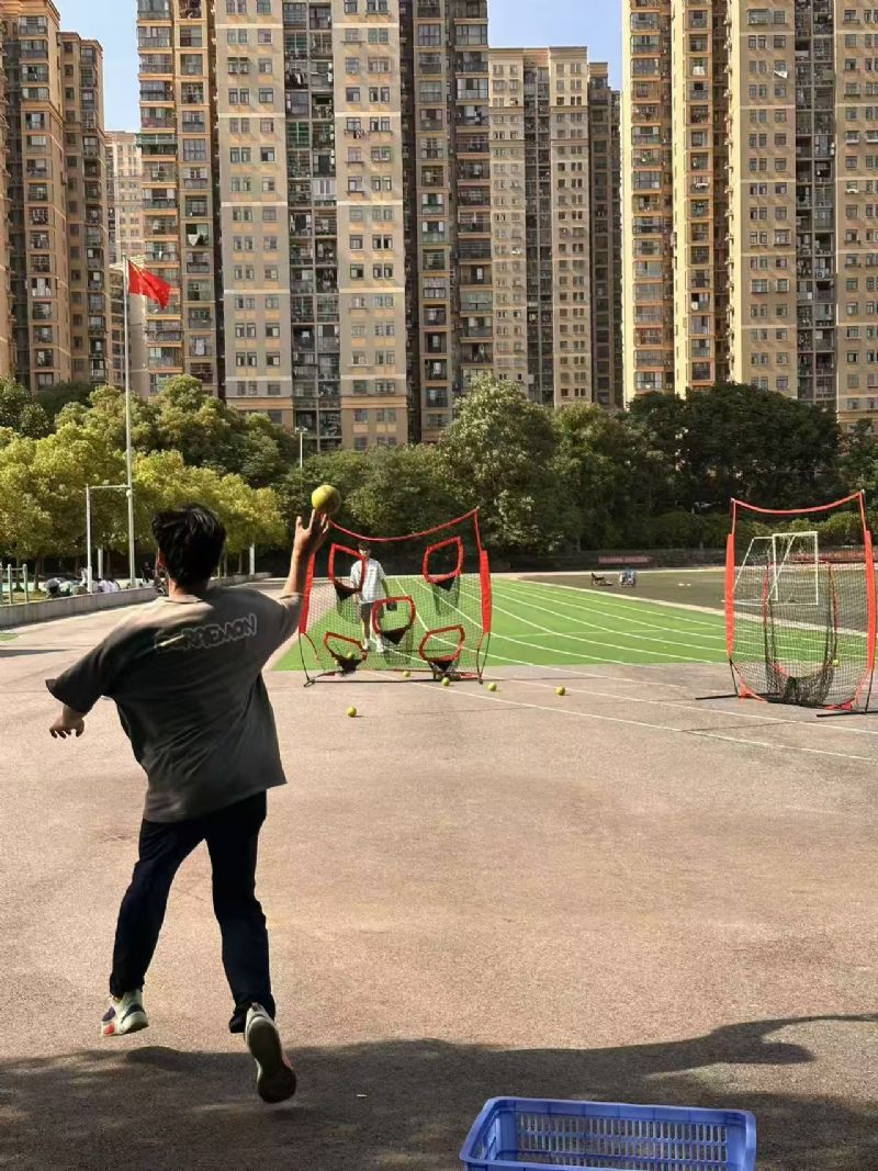 鲸鱼体育指定入口图片