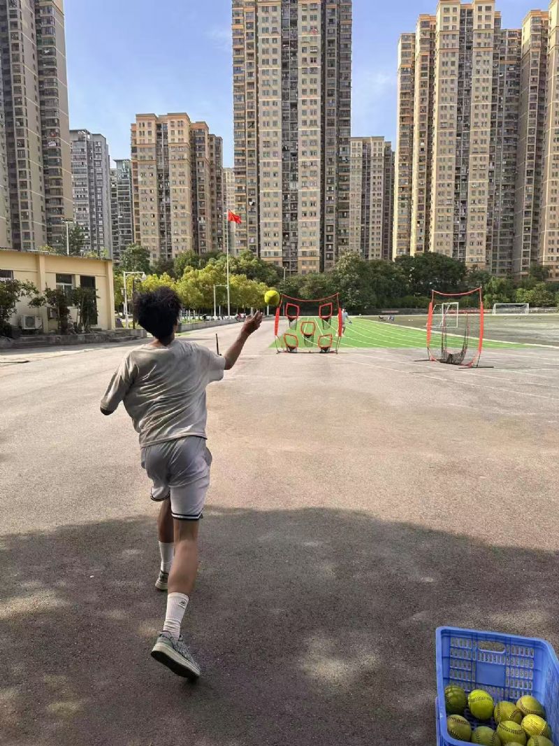 鲸鱼体育体育频道图片