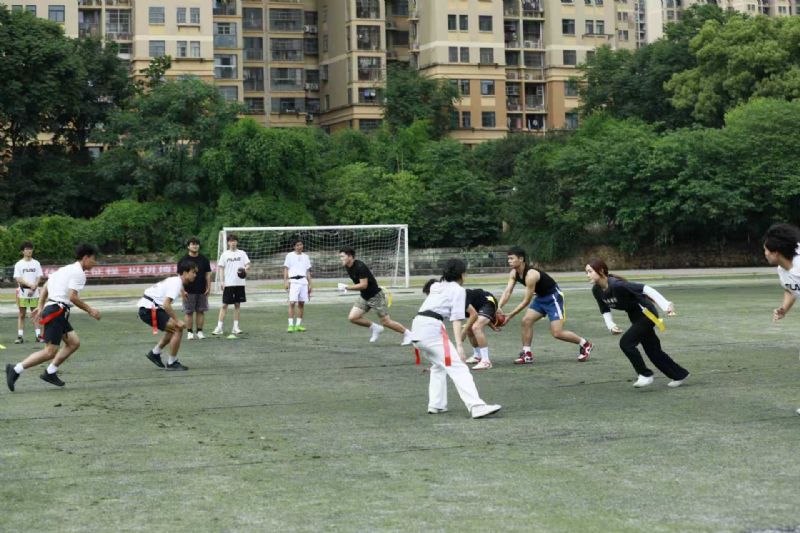 鲸鱼体育客户端图片