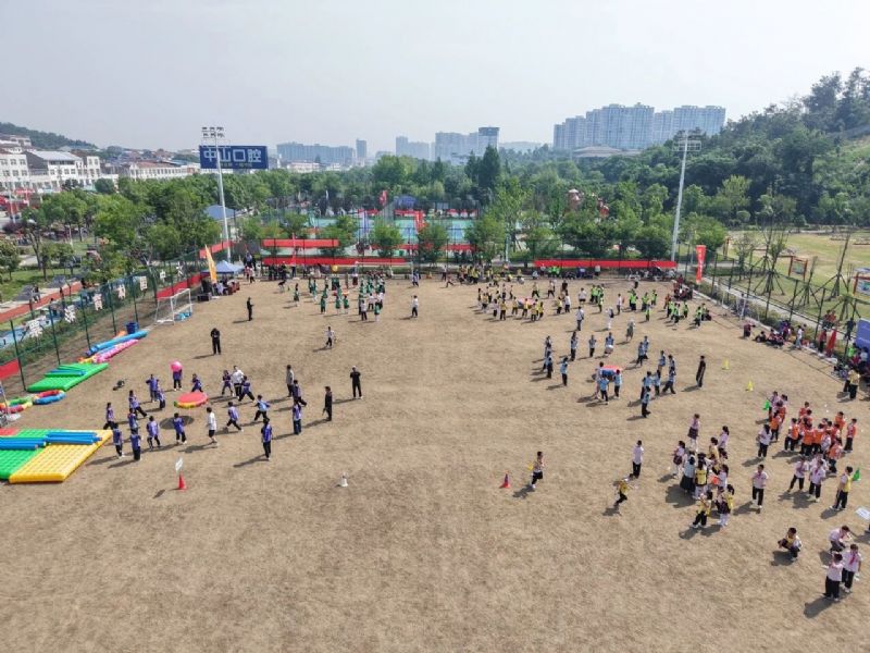 鲸鱼体育APP下载图片