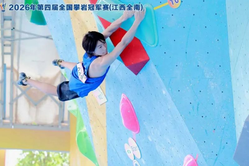 鲸鱼体育指定通道图片
