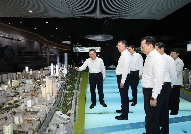 鲸鱼体育指定入口图片