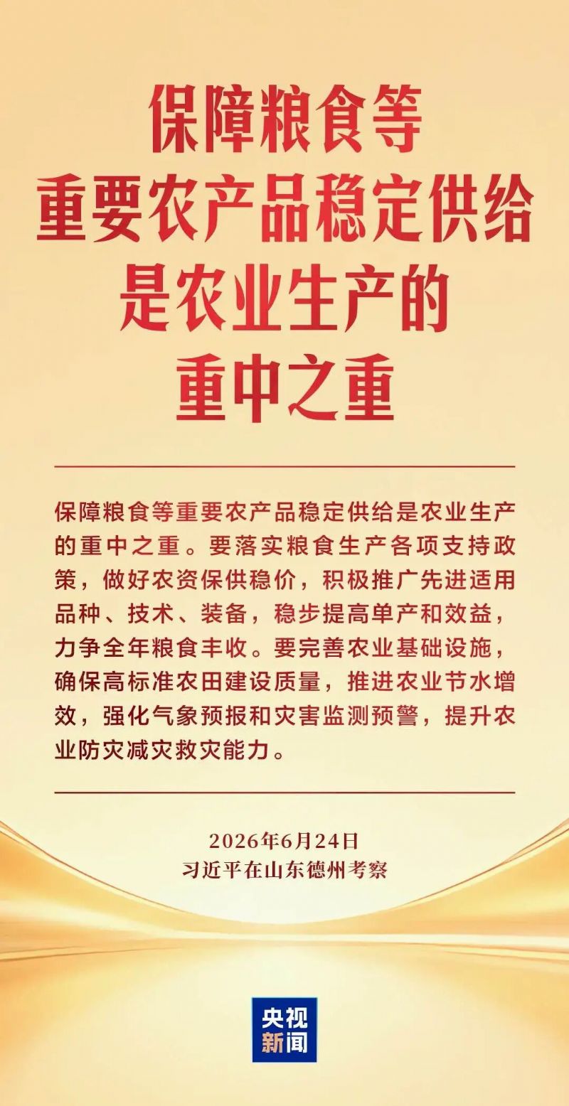 鲸鱼体育欧冠直播图片