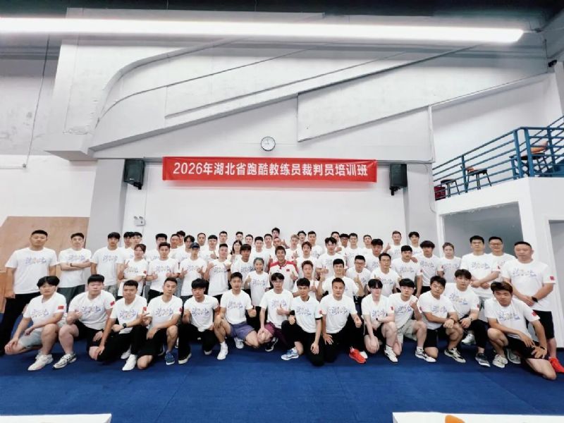 鲸鱼体育直播图片