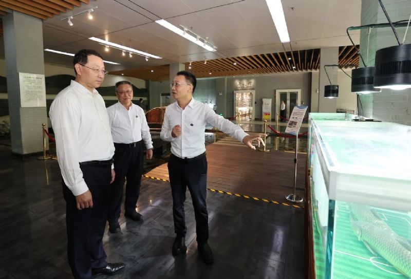鲸鱼体育欧冠直播图片